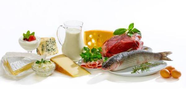 High Protein Low Carb Diet Pros And Cons