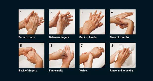 Importance of hand hygiene essay
