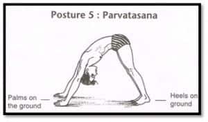 posture 5