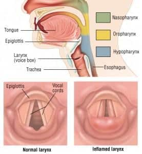 taylor hill throat