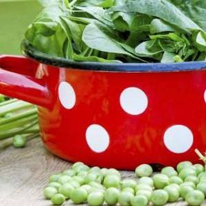 Vegetarian? Get protein from these plant sources Vegetarian? Get protein from these plant sources