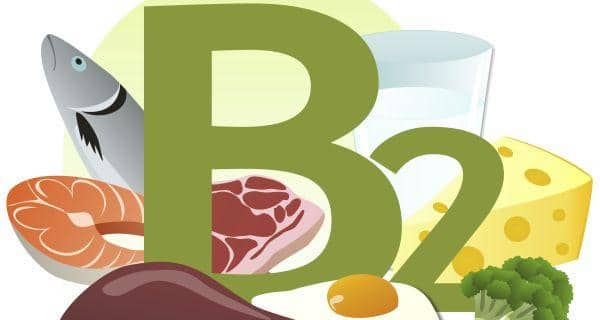 7 food sources of vitamin B2 you must know