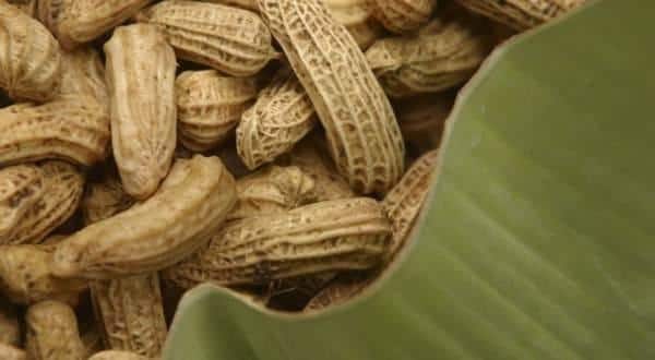 Peanuts