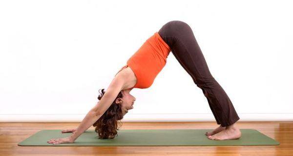 Adho-Mukho-Svanasana