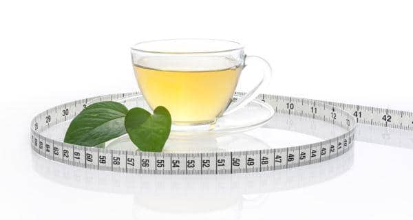 Drink Peppermint Tea Lose Weight