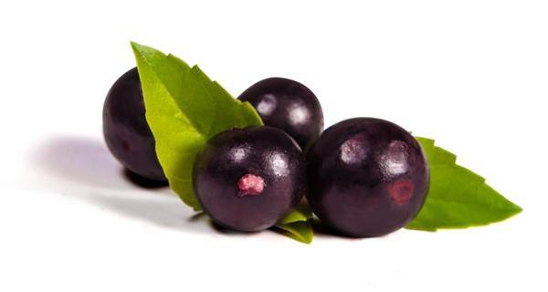 acai berry benefits