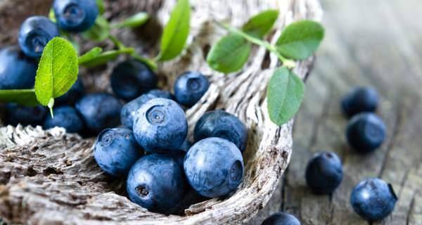blueberry benefits
