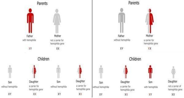 Women are carriers
