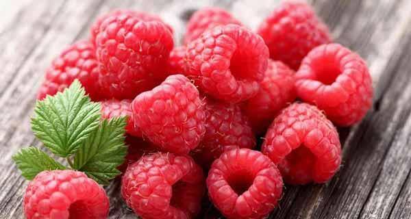 raspberry benefits
