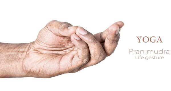 Pran mudra