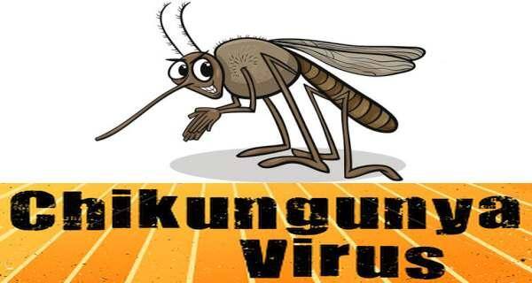 chikungunya