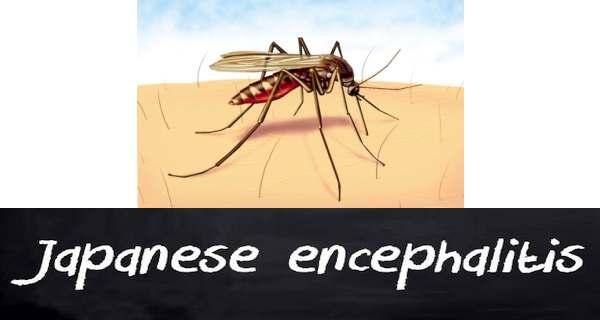 Japanese encephalitis