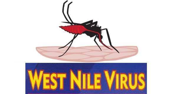 West nile virus