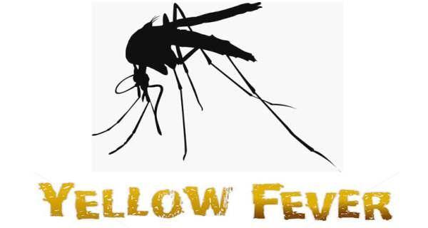 Yellow fever