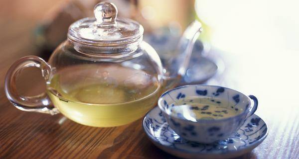 How many cups of green tea should you drink in a day to lose weight