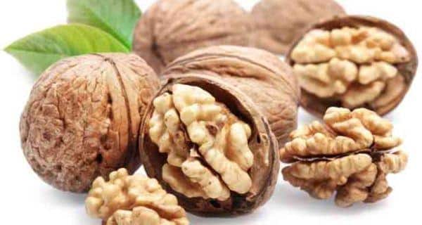 walnuts in hindi 1
