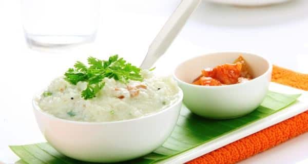 curd rice