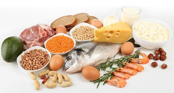 Protein Balanced Diet