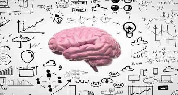 Brain development