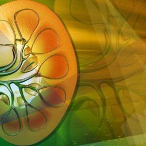 Early kidney transplant must for children with renal failure Early kidney transplant must for children with renal failure