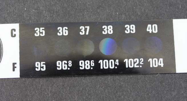 Forehead thermometer strip