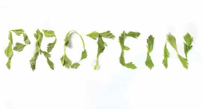 protein