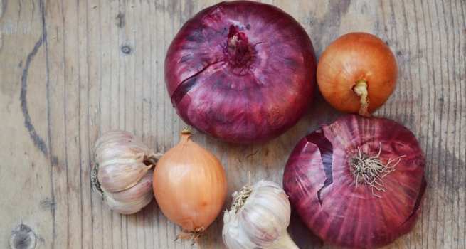 Food and vaginal odour