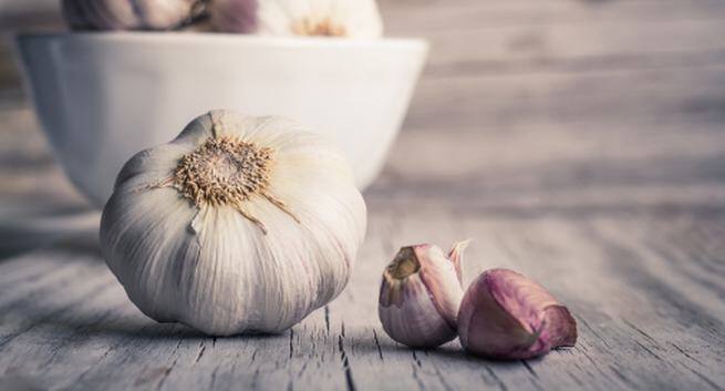 Garlic