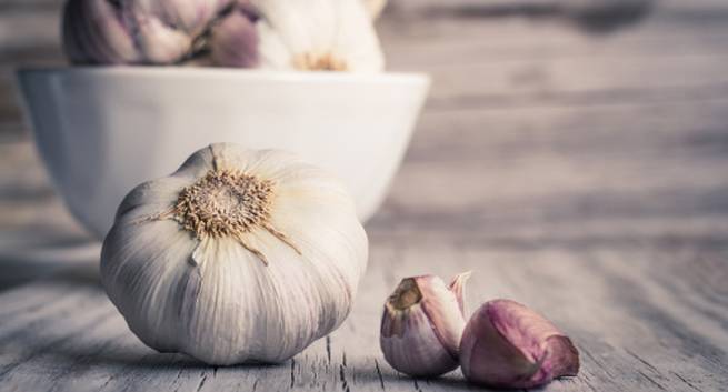 Garlic