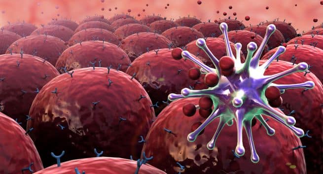 Dysfunctional immune system
