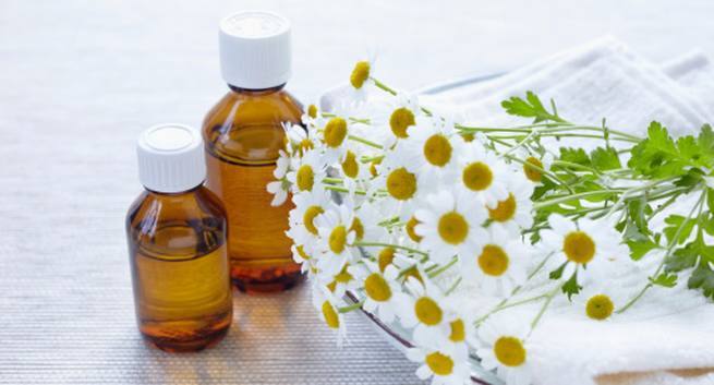 Roman chamomile oil