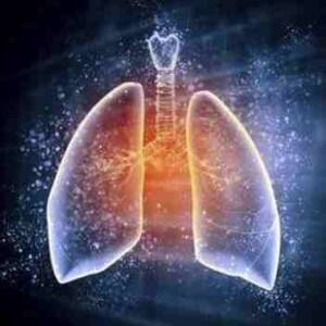 Fruit and vegetable-rich diet may lower lung disease risk Fruit and vegetable-rich diet may lower lung disease risk
