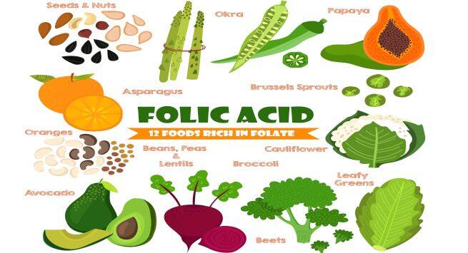Folic acid Hindi