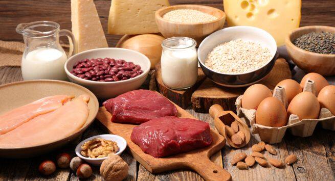 proteins Hindi