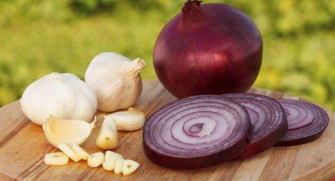 Onion and garlic