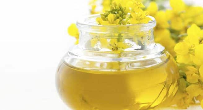 Canola oil