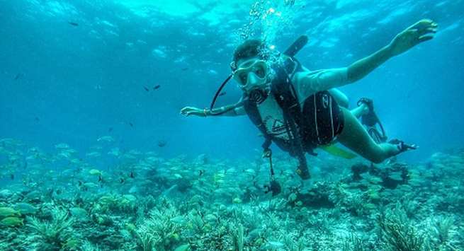 Scuba diving