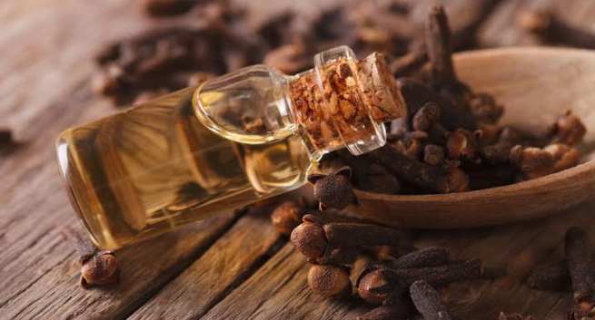 clove-oil
