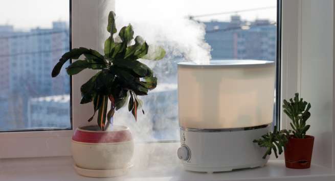 humidifier