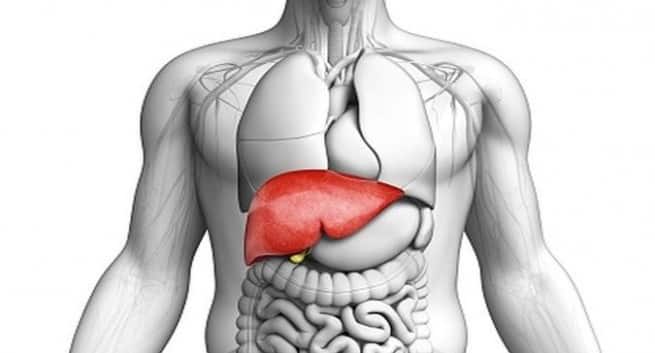 نتيجة بحث الصور عن ‪liver health‬‏