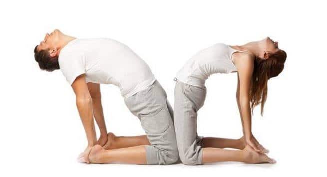 Camel-pose