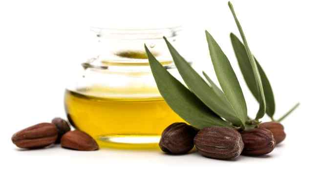 Jojoba-oil