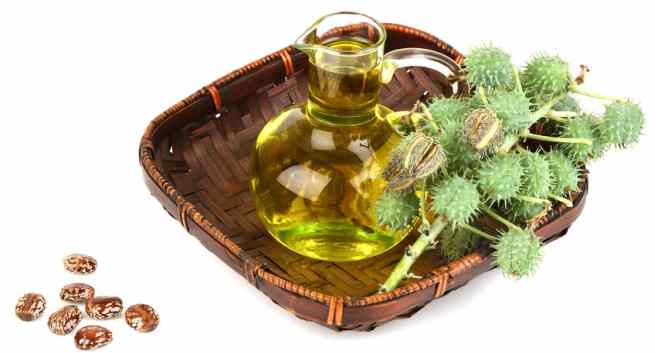 castor-oil