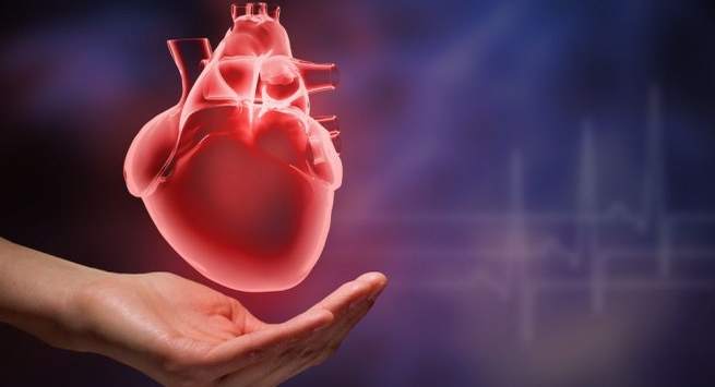 heart-health