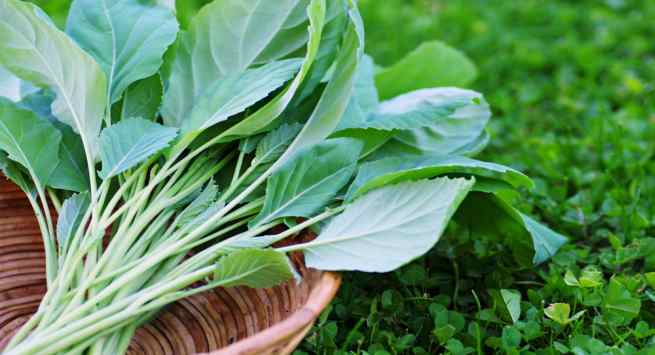 kale