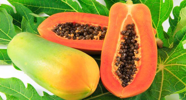 papaya Hindi