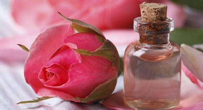 rose-water Hindi