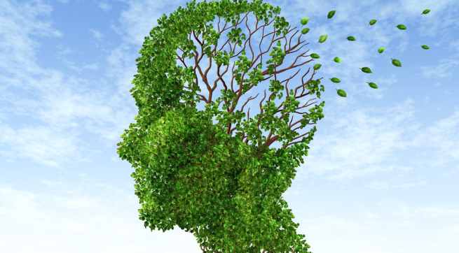 alzheimer's Hindi