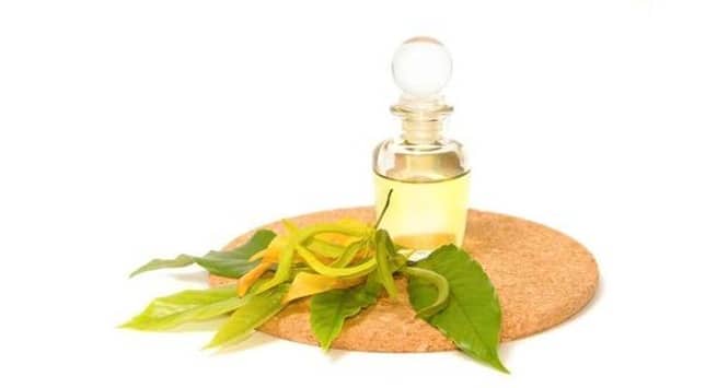 ylang-ylang oil for beard hair