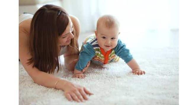 Carpet Hindi